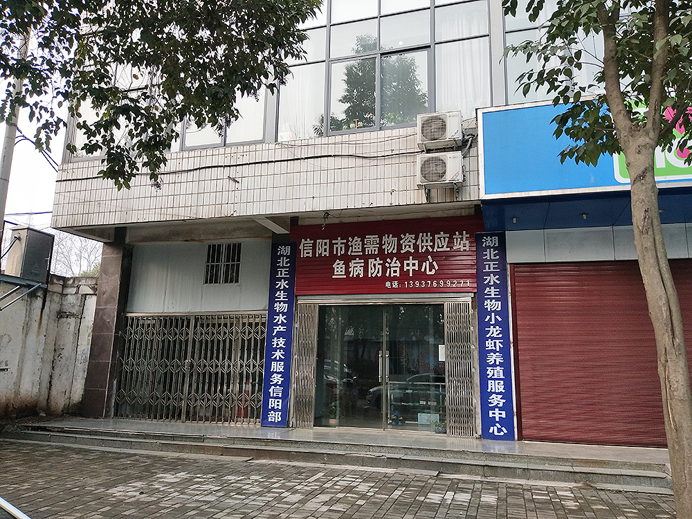 信陽拍賣