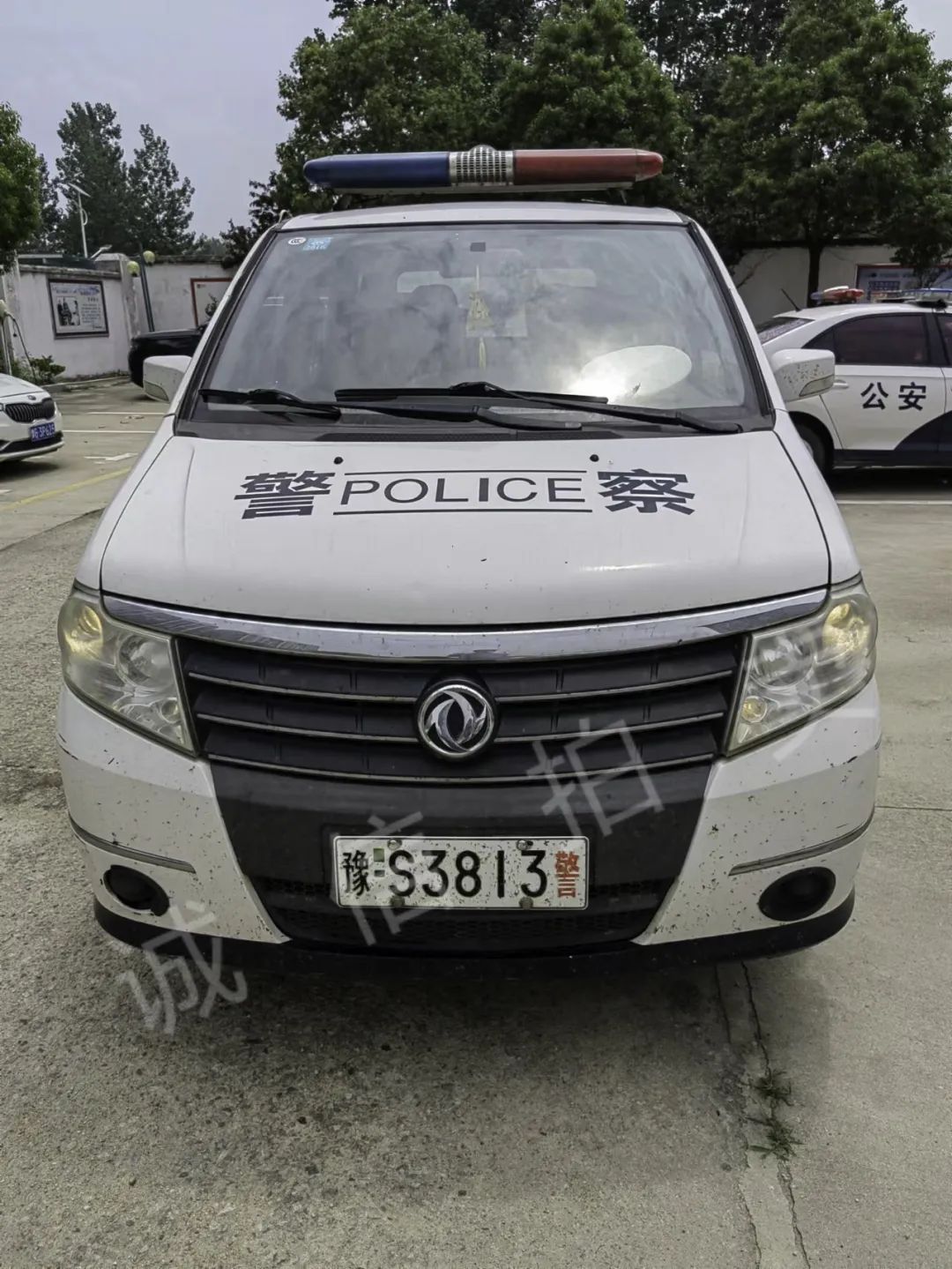圖片
